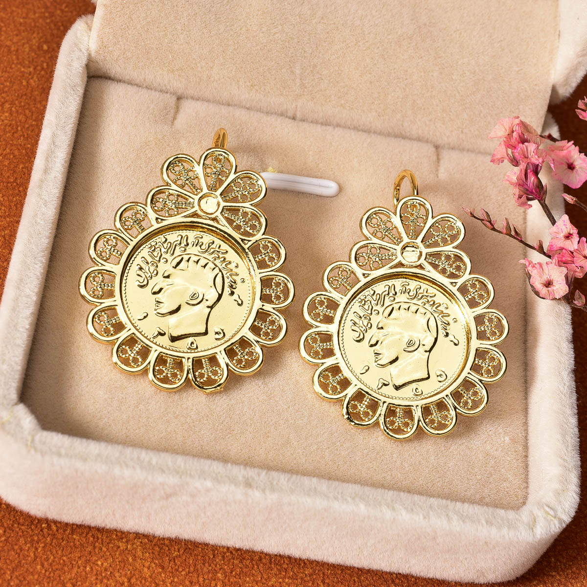 Muntmedaillon oorhangers dames - Vintage Collectible Coins recensie en prijs